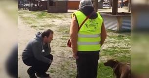 Una perra reconoce a su dueño después de haber estado perdida durante tres años Una perra reconoce a su dueño después de haber estado perdida durante tres años