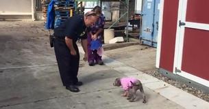 Pooch Is Reunited With Firefighter That Rescued Her From Abuse Pooch Is Reunited With Firefighter That Rescued Her From Abuse