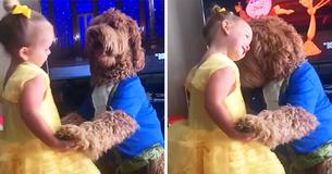 Three-Year-Old Recreates 'Beauty And The Beast' Waltz With Her Dog Three-Year-Old Recreates 'Beauty And The Beast' Waltz With Her Dog