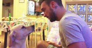 Un homme gronde son chien et l'air de culpabilité sur le visage du chien fait éclater de rire les spectateurs Un homme gronde son chien et l'air de culpabilité sur le visage du chien fait éclater de rire les spectateurs