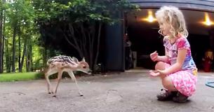 Lost, Newborn Fawn Walks Up To Little Girl – Now She's Called The Deer Whisperer Lost, Newborn Fawn Walks Up To Little Girl – Now She's Called The Deer Whisperer