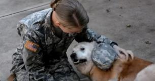 Elderly Dog Weeps When She Notices Soldier Has Returned Home Elderly Dog Weeps When She Notices Soldier Has Returned Home