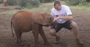 Baby Elephant Starts Adorable 'Attack' On Reporter Baby Elephant Starts Adorable 'Attack' On Reporter