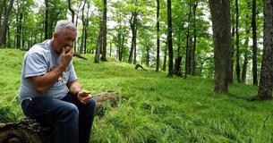 Man zit alleen in het bos en wordt plotseling door onverwachte bezoekers omringd Man zit alleen in het bos en wordt plotseling door onverwachte bezoekers omringd