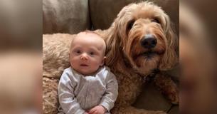 Fluffy Dog Expresses To Baby That He Loves Him In Exceptionally Adorable Way Fluffy Dog Expresses To Baby That He Loves Him In Exceptionally Adorable Way