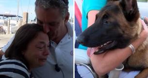 Una perra nadó 10 kilómetros y caminó otros 20 para reunirse con su familia después de caerse por la borda de un bote Una perra nadó 10 kilómetros y caminó otros 20 para reunirse con su familia después de caerse por la borda de un bote