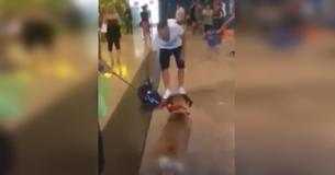 Il cane si ferma e fissa il proprietario che non vede da tre anni: ciò che accade dopo non ha davvero prezzo Il cane si ferma e fissa il proprietario che non vede da tre anni: ciò che accade dopo non ha davvero prezzo