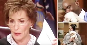 Judge Judy Sets Dog Loose In Court For True Owner To Be Identified Judge Judy Sets Dog Loose In Court For True Owner To Be Identified