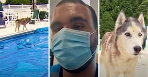 A Delivery Driver Rescued A Drowning Dog During His Shift A Delivery Driver Rescued A Drowning Dog During His Shift
