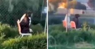 Bizarre Incident – Driver Spots Two Dogs Relaxing And Sitting On Chairs In Backyard Bizarre Incident – Driver Spots Two Dogs Relaxing And Sitting On Chairs In Backyard