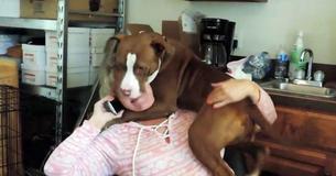 Rescued Dog Overjoyed To Be Off Chain — Refuses To Let Rescuer Talk On Phone Rescued Dog Overjoyed To Be Off Chain — Refuses To Let Rescuer Talk On Phone