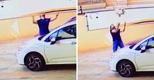 Random Passerby Saves Dog Falling From 9th Floor Balcony Random Passerby Saves Dog Falling From 9th Floor Balcony