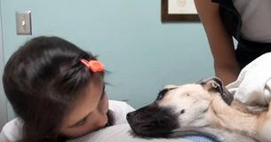 Little Girl Looks Into Eyes Of Damaged Dog Who Gave Up—Hope Is Restored Little Girl Looks Into Eyes Of Damaged Dog Who Gave Up—Hope Is Restored