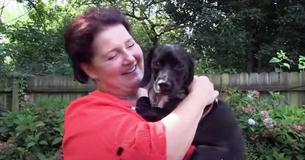 Dog Taken From Neglectful Family Arrives To Place He Can Finally Call Home Dog Taken From Neglectful Family Arrives To Place He Can Finally Call Home
