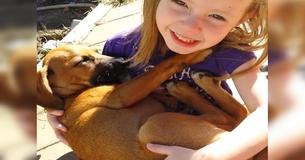 Girl Gently Sings Her New Rescue Puppy To Sleep Girl Gently Sings Her New Rescue Puppy To Sleep