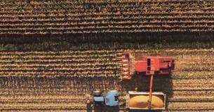 Farmers In North Dakota Finish Harvest For Neighbor After He Suffers Medical Emergency Farmers In North Dakota Finish Harvest For Neighbor After He Suffers Medical Emergency