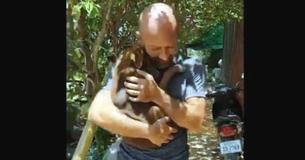 Una perrita no deja de abrazar a un humano que la rescató para que no la mataran Una perrita no deja de abrazar a un humano que la rescató para que no la mataran