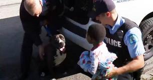 Fader genforenes med savnet søn for at indse, at en omstrejfende pitbull havde beskyttet ham Fader genforenes med savnet søn for at indse, at en omstrejfende pitbull havde beskyttet ham