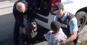 Forsvundet dreng fundet i St. Louis-gader - beskyttende omstrejfende pitbull forblev ved hans side Forsvundet dreng fundet i St. Louis-gader - beskyttende omstrejfende pitbull forblev ved hans side