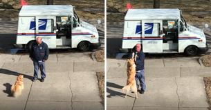 Hond blijft elke dag buiten wachten om zijn postbode een knuffel te geven Hond blijft elke dag buiten wachten om zijn postbode een knuffel te geven