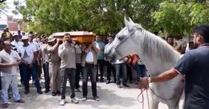 Mourning Horse Smells His Owner’s Casket And Breaks Down At Funeral Mourning Horse Smells His Owner’s Casket And Breaks Down At Funeral