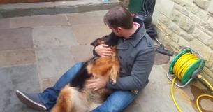 Female German Shepherd Cries With Joy And Falls Into Owner’s Arms After Months Apart Female German Shepherd Cries With Joy And Falls Into Owner’s Arms After Months Apart