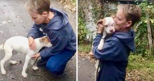 Puppy So Grateful To Be Rescued He Buries His Face in Rescuer’s Arms Puppy So Grateful To Be Rescued He Buries His Face in Rescuer’s Arms