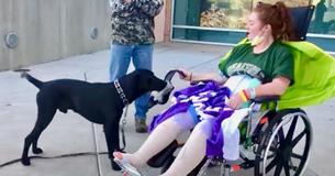 Woman From Colorado And Her 10-Month-Old Labrador Make It Out Alive Of Severe Mountain Crash Woman From Colorado And Her 10-Month-Old Labrador Make It Out Alive Of Severe Mountain Crash