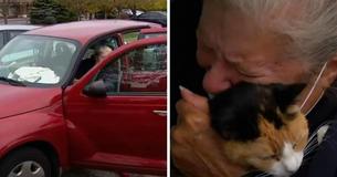 Office Workers Help Afflicted Homeless Woman Living In Office Parking Lot With Two Cats Office Workers Help Afflicted Homeless Woman Living In Office Parking Lot With Two Cats