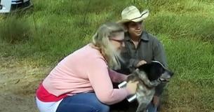 Deaf Partially Blind Dog Helped Locate Age 3 Girl Missing Overnight Deaf Partially Blind Dog Helped Locate Age 3 Girl Missing Overnight