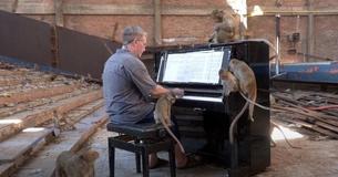 Pianist Performs For Macaque Monkeys At Abandoned Cinema Pianist Performs For Macaque Monkeys At Abandoned Cinema