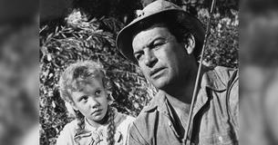 Child Star Hayley Mills Still Making Moves In Hollywood Child Star Hayley Mills Still Making Moves In Hollywood