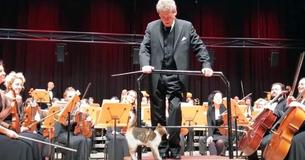 Mischievous Cat Disrupts Live Orchestra Concert To Steal The Show Mischievous Cat Disrupts Live Orchestra Concert To Steal The Show