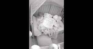 Un père laisse un pitbull de 100 livres dormir dans le berceau de son enfant . Une vidéo de ce moment précieux est capturée. Un père laisse un pitbull de 100 livres dormir dans le berceau de son enfant . Une vidéo de ce moment précieux est capturée.