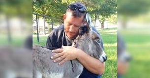 Newborn Donkey Shows He Wants Hugs With Cutest Method Newborn Donkey Shows He Wants Hugs With Cutest Method