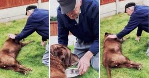 90-Year-Old Neighbor Comes To Say Goodbye To Dog During Her Final Days 90-Year-Old Neighbor Comes To Say Goodbye To Dog During Her Final Days
