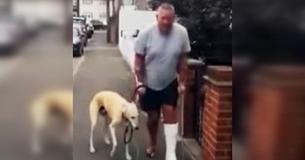 Hundebesitzer bezahlt dem Tierarzt 340 Euro, um zu erfahren, dass sein Hund humpelt, weil er ihn aus Sympathie nachgeahmt hat Hundebesitzer bezahlt dem Tierarzt 340 Euro, um zu erfahren, dass sein Hund humpelt, weil er ihn aus Sympathie nachgeahmt hat