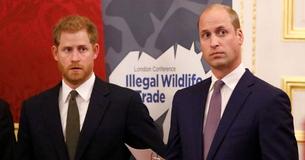 Queen Orders For Prince Harry And Prince William To Be Separated Behind Philip's Coffin Queen Orders For Prince Harry And Prince William To Be Separated Behind Philip's Coffin