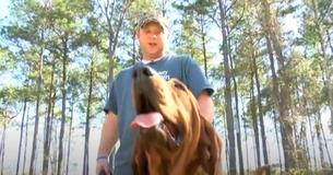 Man's Dog Becomes Hero After She Helps Find Missing Toddler In Forest Man's Dog Becomes Hero After She Helps Find Missing Toddler In Forest
