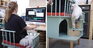 Woman Makes ‘Needy Pet’ Desk Chair That Allows Clingy Pets To Sit With Their Owners Woman Makes ‘Needy Pet’ Desk Chair That Allows Clingy Pets To Sit With Their Owners