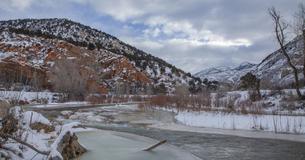 Woman Found Living In Utah National Forest After Disappearing Nearly 6 Months Ago — Expert Explains The Survival Methods Woman Found Living In Utah National Forest After Disappearing Nearly 6 Months Ago — Expert Explains The Survival Methods