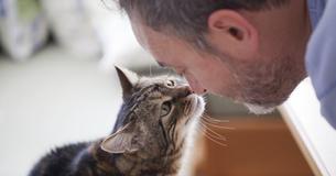 Man Gets An Ultimatum From His Vegan Girlfriend And Is Pressured To Give Away His Cat Man Gets An Ultimatum From His Vegan Girlfriend And Is Pressured To Give Away His Cat