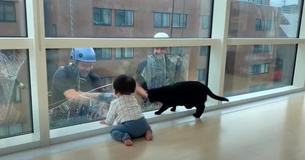 Cat And Baby Have Exceptionally Adorable Interaction With Window Washers Cat And Baby Have Exceptionally Adorable Interaction With Window Washers
