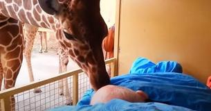 Ill Zookeeper Receives Farewell Fit For A King From The Animals He Cared For Ill Zookeeper Receives Farewell Fit For A King From The Animals He Cared For