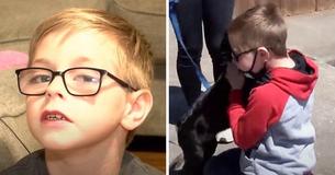 8-Year-Old Boy Sells Pokemon Card Collection In Order To Pay For Sick Dog's $700 Treatment 8-Year-Old Boy Sells Pokemon Card Collection In Order To Pay For Sick Dog's $700 Treatment