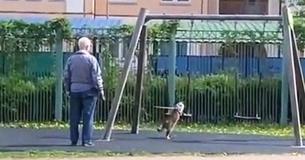 Man Takes His Cat For A Walk To The Park As His Cat Enjoys Swinging Man Takes His Cat For A Walk To The Park As His Cat Enjoys Swinging