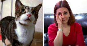 Heroic Foster Cat Saves Young Girl Struggling To Breathe In Her Sleep Heroic Foster Cat Saves Young Girl Struggling To Breathe In Her Sleep