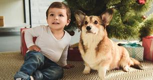 Mütter fordern Tierbesitzer auf, Tiere nicht mehr Mütter fordern Tierbesitzer auf, Tiere nicht mehr