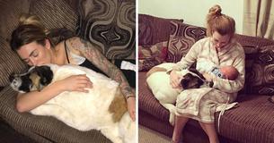 Distressed Dog Won't Stop Barking At Pregnant Mom Until She Realizes The Dog's Trying To Save Her Distressed Dog Won't Stop Barking At Pregnant Mom Until She Realizes The Dog's Trying To Save Her