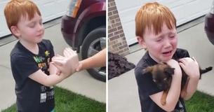 6-Year-Old Boy Saves To Buy Puppy, Then Grandparents Tell Him To Hold Out His Hands 6-Year-Old Boy Saves To Buy Puppy, Then Grandparents Tell Him To Hold Out His Hands